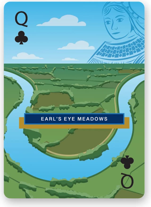 Earl's Eye Meadows