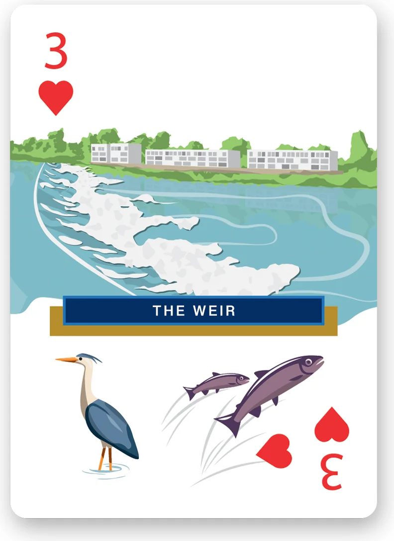 The Weir