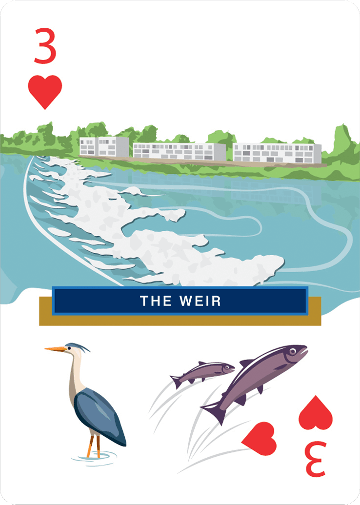 The Weir